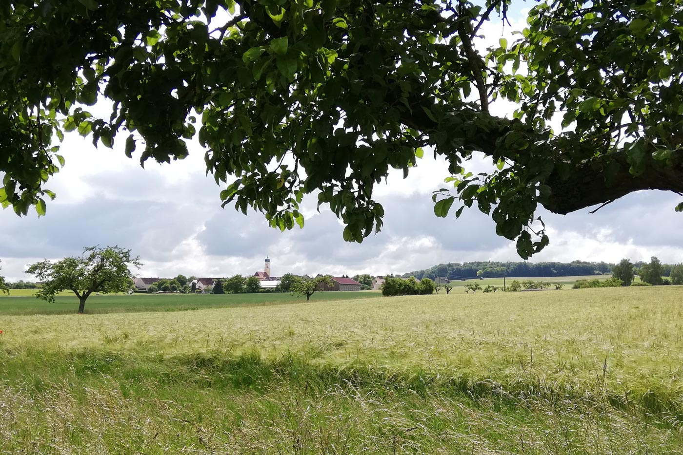 bollstadt Ortsansicht 02