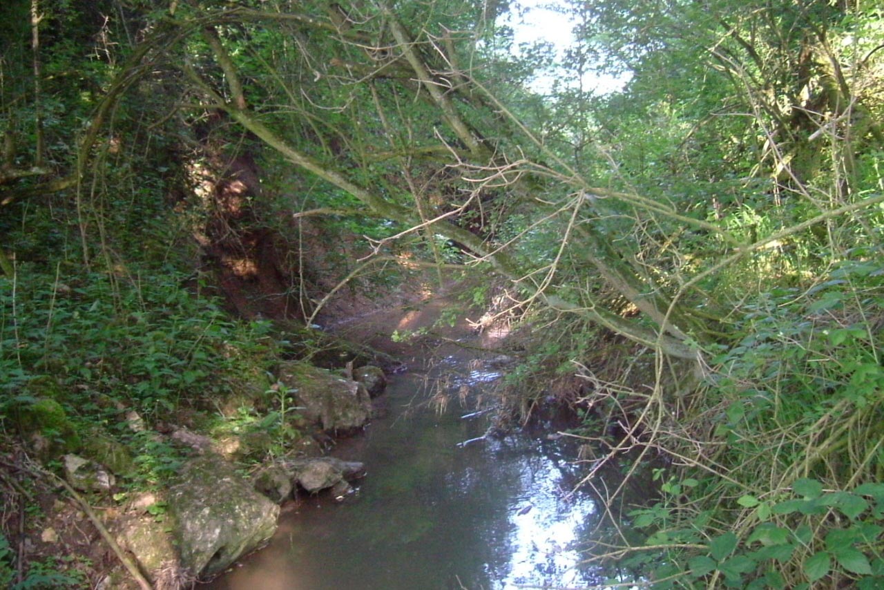 Oelmuehle bei Seelbronn Wasserlauf