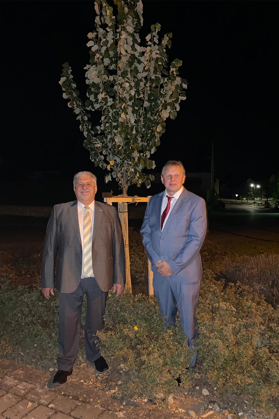 Gemeinde Amerdingen Silberlinde beim Rathaus